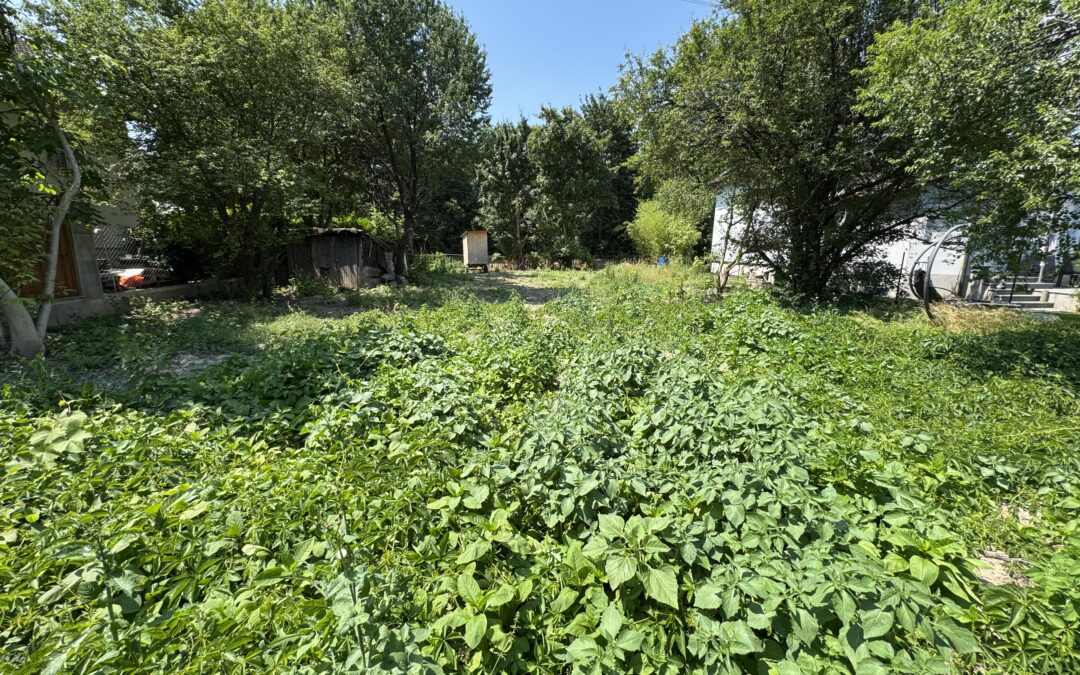 Schwarzlackenau | Eigentums-Baugrund | 576m² | unbebaut