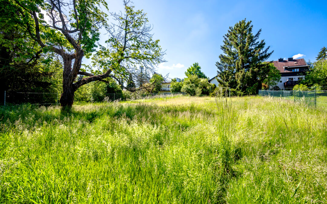 Perchtoldsdorf | Über 1.000 m² Eigengrund | Sanierungsbedürftiges Haus an der Wiener Stadtgrenze