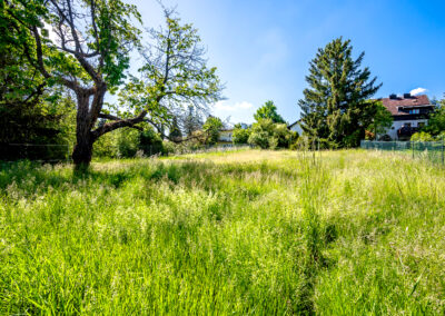 Perchtoldsdorf | Über 1.000 m² Eigengrund | Sanierungsbedürftiges Haus an der Wiener Stadtgrenze